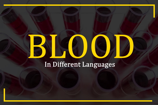 how-to-say-blood-in-different-languages-tdl