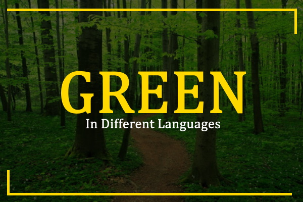 green-night-in-different-languages