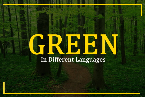 How To Say Green In Different Languages 100 Ways 