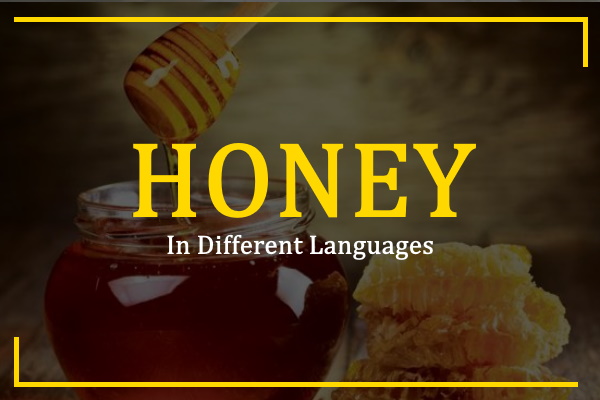 honey-in-different-languages