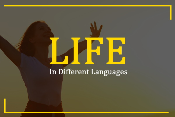 How To Say Life In Different Languages 100 Ways 