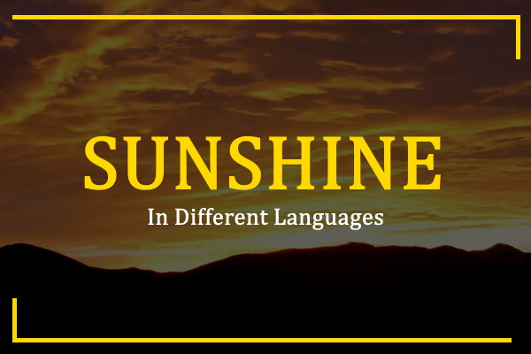 How To Say Sunshine In Different Languages 100 Ways 