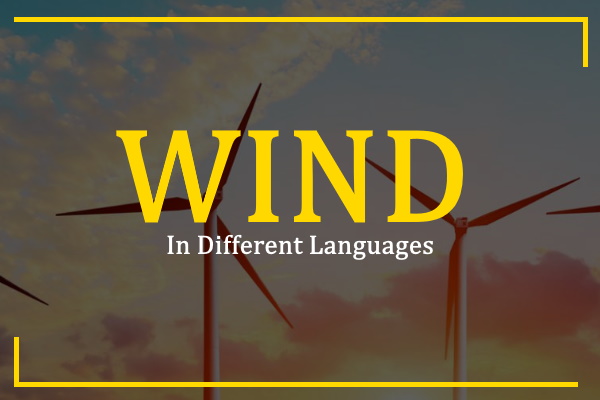 How to Say Wind in Different Languages (100+ Ways)