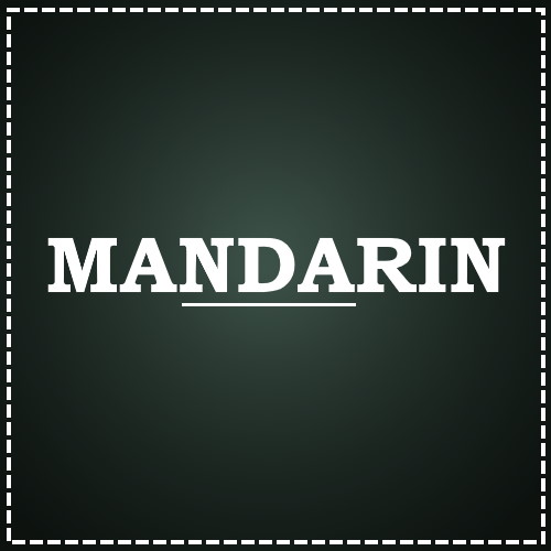 mandarin-business-language
