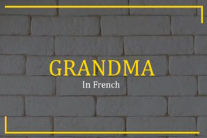 grandma in french        <h3 class=
