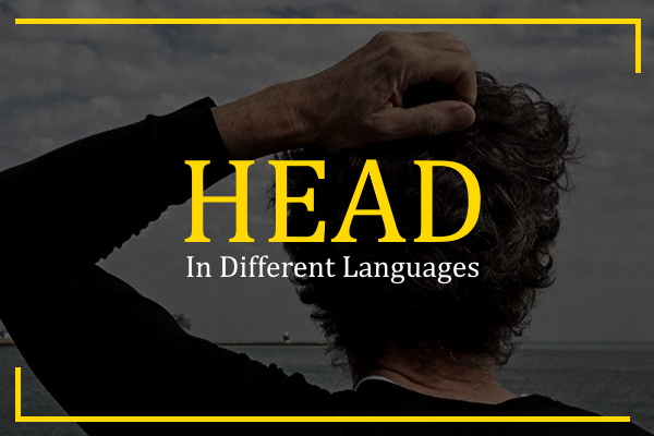 head in different languages