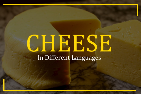 cheese in different languages