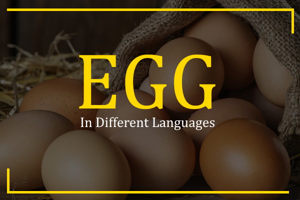 egg in different languages