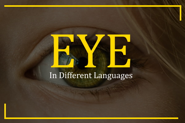 eye in different languages