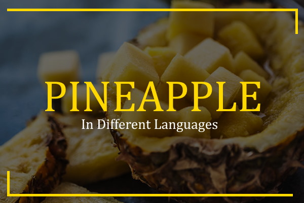 pineapple in different languages