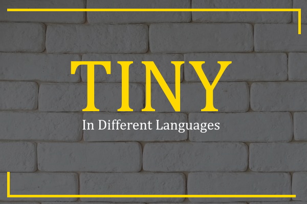 tiny in different languages