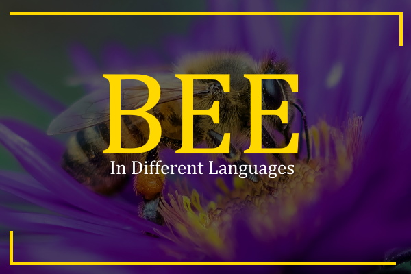 bee in different languages