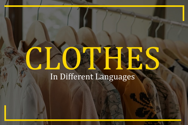 clothes in different languages