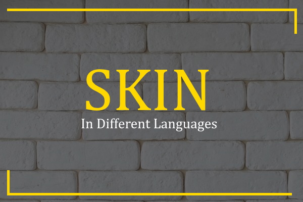 skin in different languages