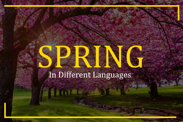 spring in different languages