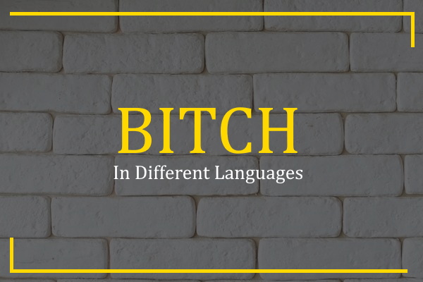 bitch in different languages