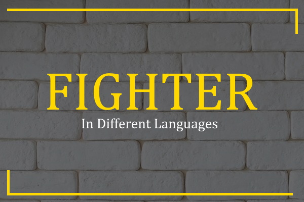 fighter in different languages