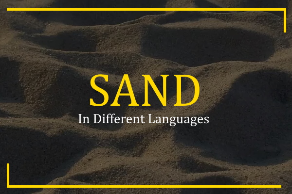 sand in different languages