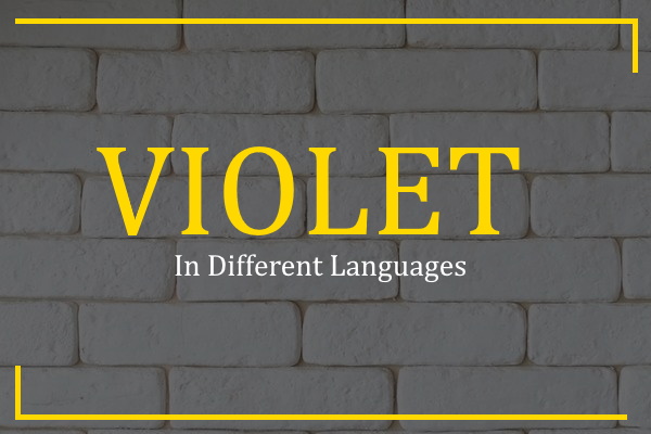 violet in different languages