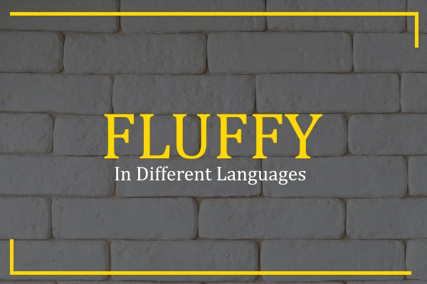 fluffy in different languages