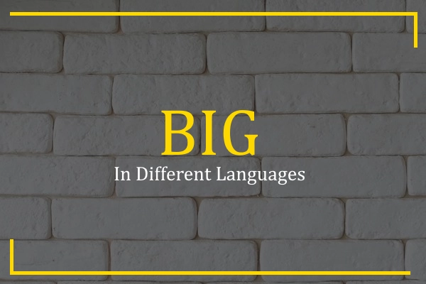 big in different languages