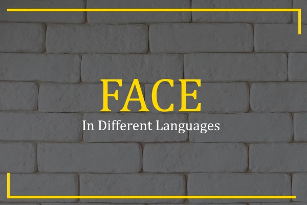 face in different languages