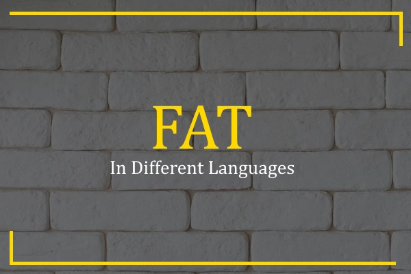 fat in different languages