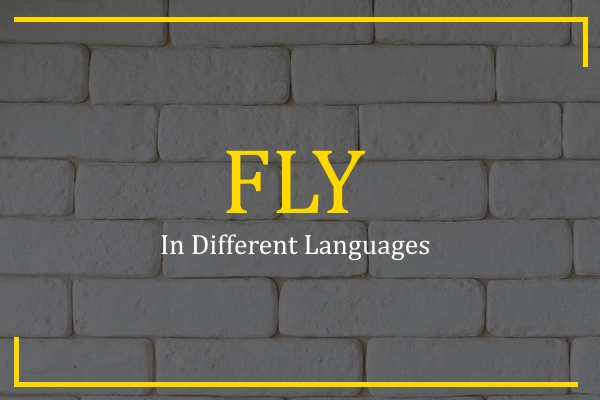 fly in different languages