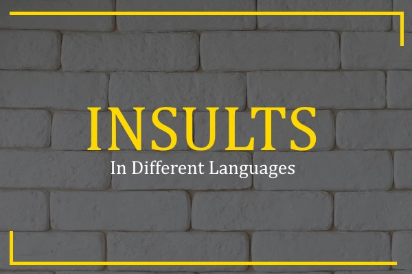 insults in different languages