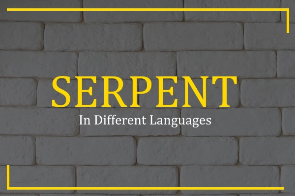 serpent in different languages