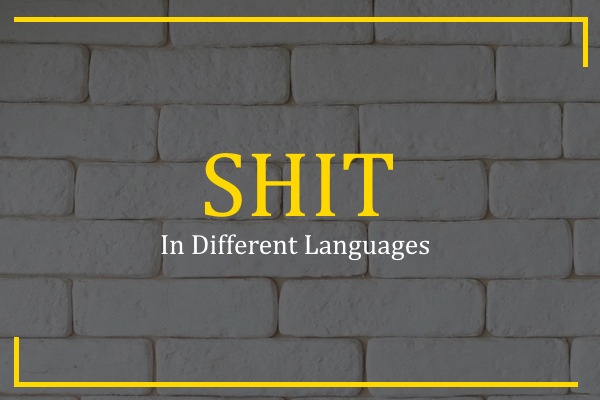 shit in different languages