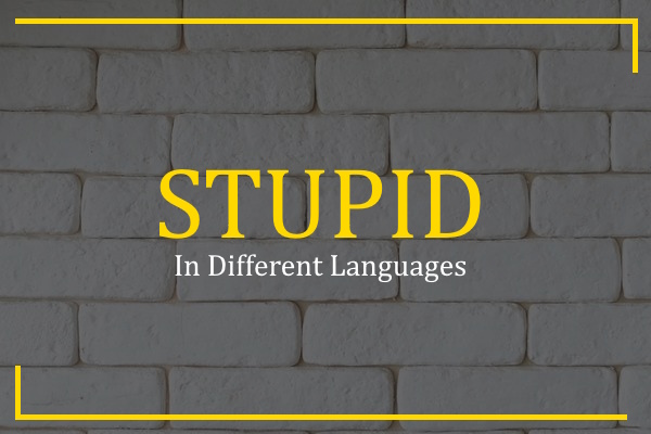 stupid in different languages
