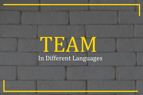 team in different languages