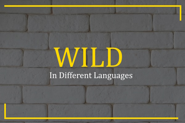 wild in different languages