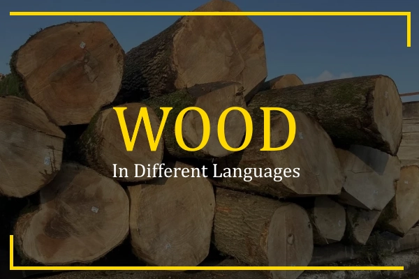 wood in different languages
