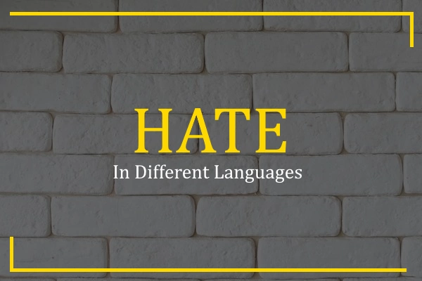 hate in different languages