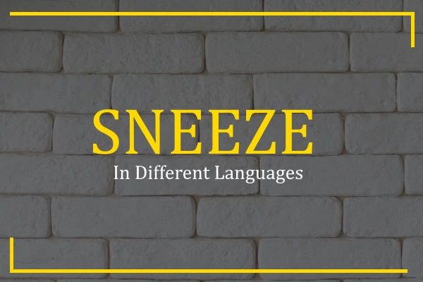 sneeze in different languages